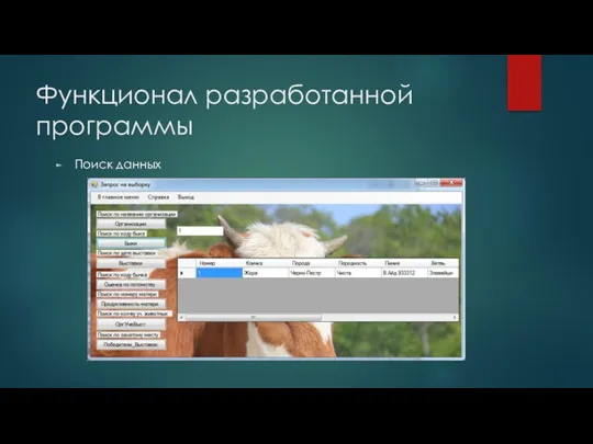 Поиск данных Функционал разработанной программы