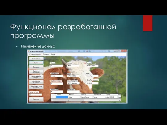 Изменение данных Функционал разработанной программы