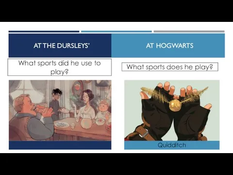 AT THE DURSLEYS’ AT HOGWARTS Quidditch