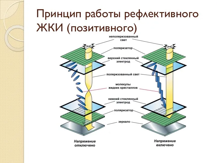 Принцип работы рефлективного ЖКИ (позитивного)