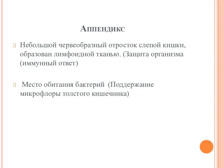 Аппендикс Небольшой червеобразный отросток слепой кишки, образован лимфоидной тканью. (Защита