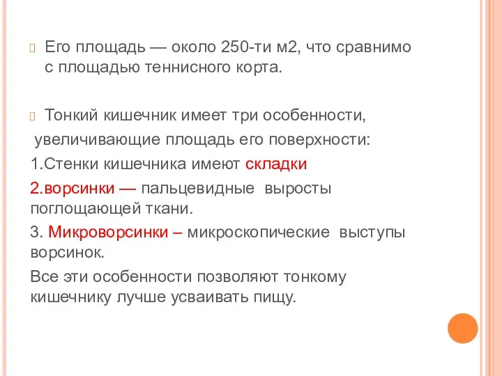 Его площадь — около 250-ти м2, что сравнимо с площадью