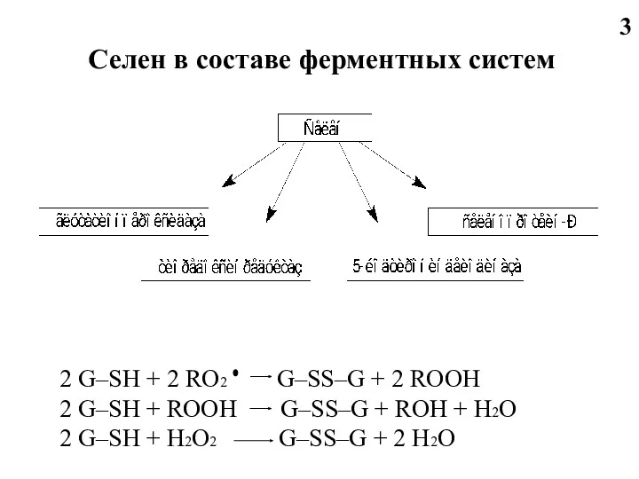 Селен в составе ферментных систем 2 G–SH + 2 RO2