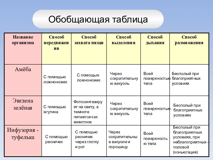 Обобщающая таблица С помощью ложноножек С помощью жгутика С помощью