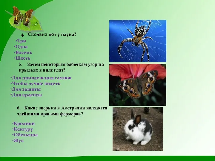 4. Сколько ног у паука? Три Одна Восемь Шесть 5.