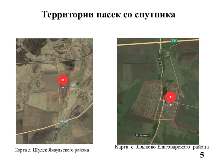 Территории пасек со спутника Карта д. Шудек Янаульского района Карта с. Языково Благоварского района