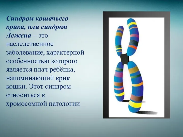 Синдром кошачьего крика, или синдром Лежена – это наследственное заболевание,