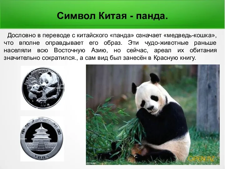 Дословно в переводе с китайского «панда» означает «медведь-кошка», что вполне