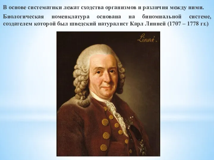 В основе систематики лежат сходства организмов и различия между ними. Биологическая номенклатура основана