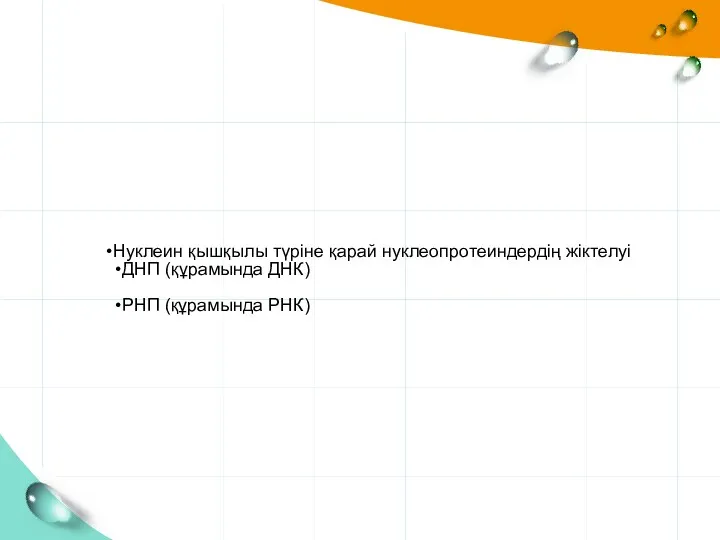 Нуклеин қышқылы түріне қарай нуклеопротеиндердің жіктелуі ДНП (құрамында ДНК) РНП (құрамында РНК)