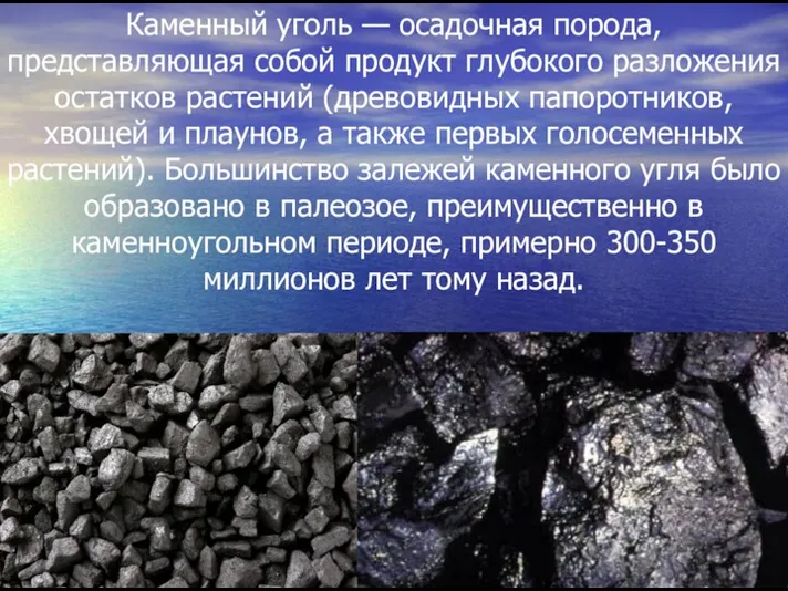 Каменный уголь — осадочная порода, представляющая собой продукт глубокого разложения