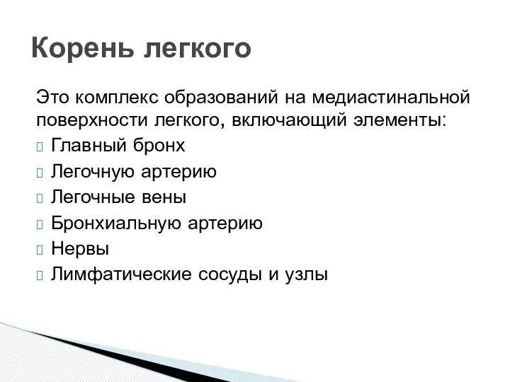 Это комплекс образований на медиастинальной поверхности легкого, включающий элементы: Главный