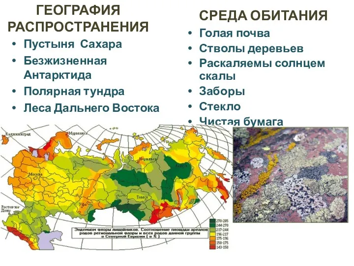 ГЕОГРАФИЯ РАСПРОСТРАНЕНИЯ Пустыня Сахара Безжизненная Антарктида Полярная тундра Леса Дальнего