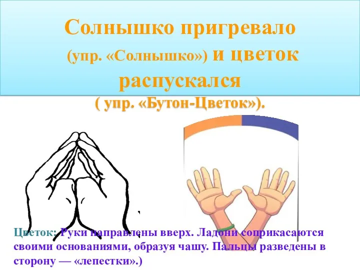 Солнышко пригревало (упр. «Солнышко») и цветок распускался ( упр. «Бутон-Цветок»).