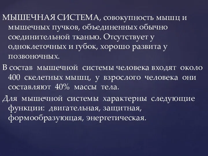 МЫШЕЧНАЯ СИСТЕМА, совокупность мышц и мышечных пучков, объединенных обычно соединительной