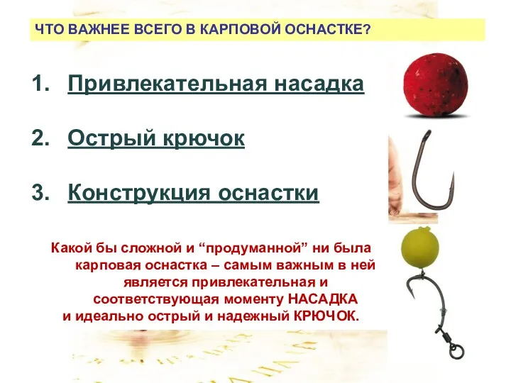 ЧТО ВАЖНЕЕ ВСЕГО В КАРПОВОЙ ОСНАСТКЕ? Привлекательная насадка Острый крючок