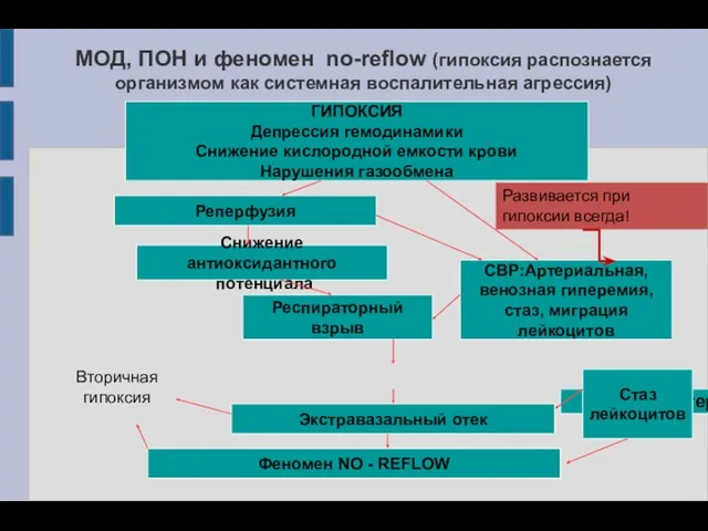 МОД, ПОН и феномен no-reflow (гипоксия распознается организмом как системная