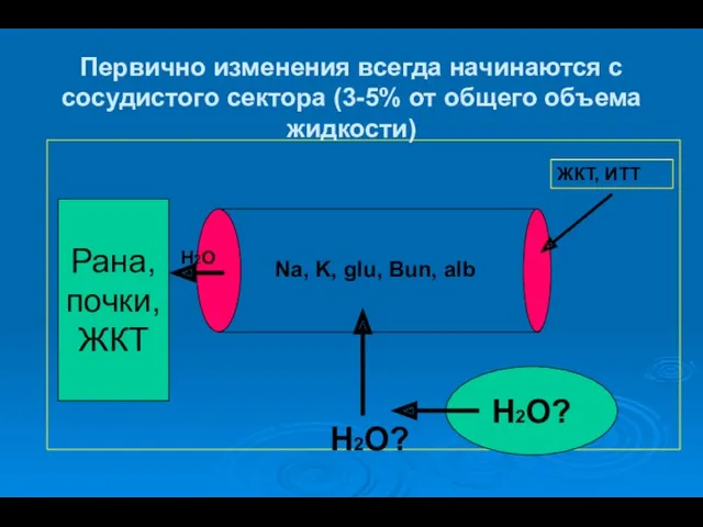 Первично изменения всегда начинаются с сосудистого сектора (3-5% от общего объема жидкости) Na,