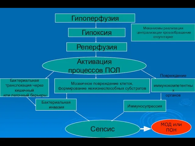 Гипоперфузия Гипоперфузия Гипоксия Реперфузия Активация процессов ПОЛ Бактериальная транслокация через