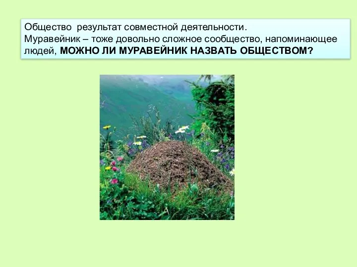 Общество результат совместной деятельности. Муравейник – тоже довольно сложное сообщество,