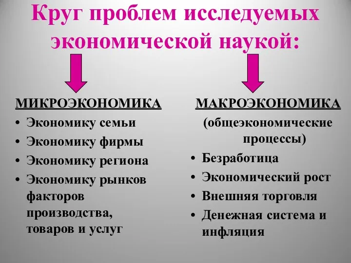 Круг проблем исследуемых экономической наукой: МИКРОЭКОНОМИКА Экономику семьи Экономику фирмы