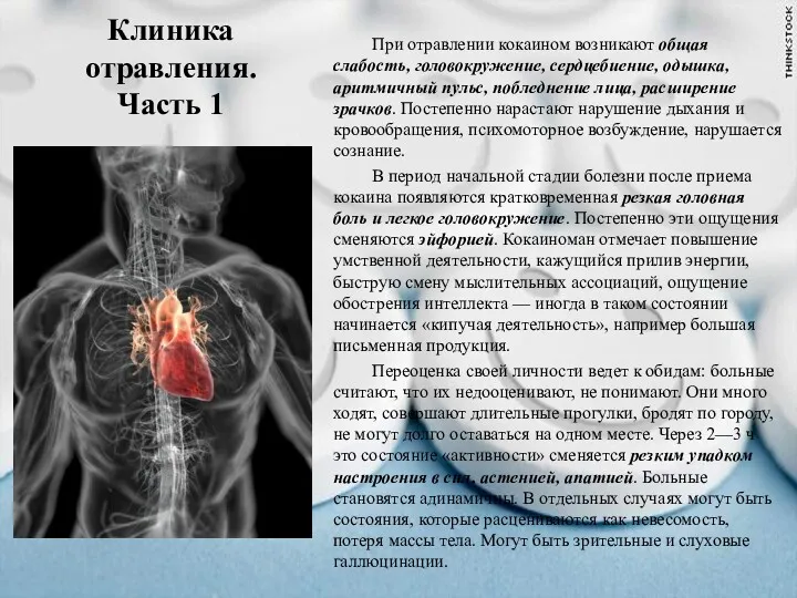 Клиника отравления. Часть 1 При отравлении кокаином возникают общая слабость,