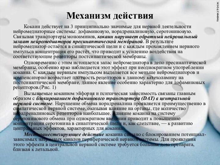 Механизм действия Кокаин действует на 3 принципиально значимые для нервной