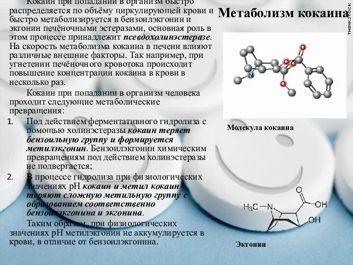 Метаболизм кокаина Молекула кокаина Кокаин при попадании в организм быстро