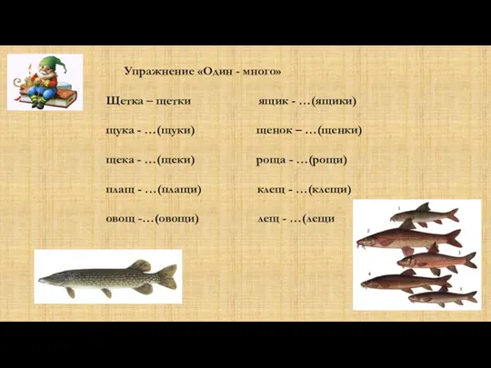 Упражнение «Один - много» Щетка – щетки ящик - …(ящики)