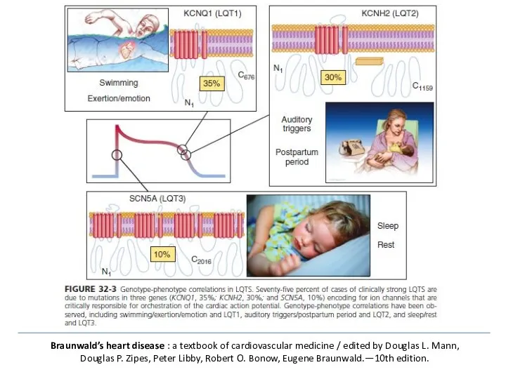 Braunwald’s heart disease : a textbook of cardiovascular medicine /