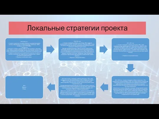 Локальные стратегии проекта