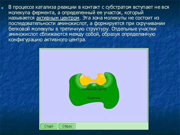 В процессе катализа реакции в контакт с субстратом вступает не