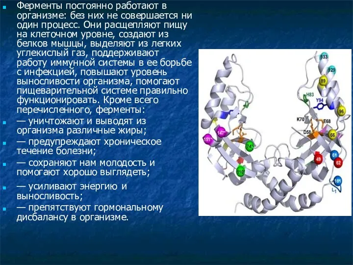 Ферменты постоянно работают в организме: без них не совершается ни