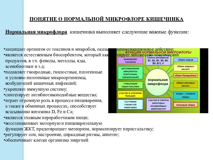 ПОНЯТИЕ О НОРМАЛЬНОЙ МИКРОФЛОРЕ КИШЕЧНИКА Нормальная микрофлора кишечника выполняет следующие