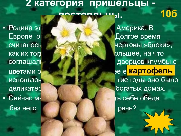 2 категория пришельцы - постояльцы. Родина этого растения – Южная