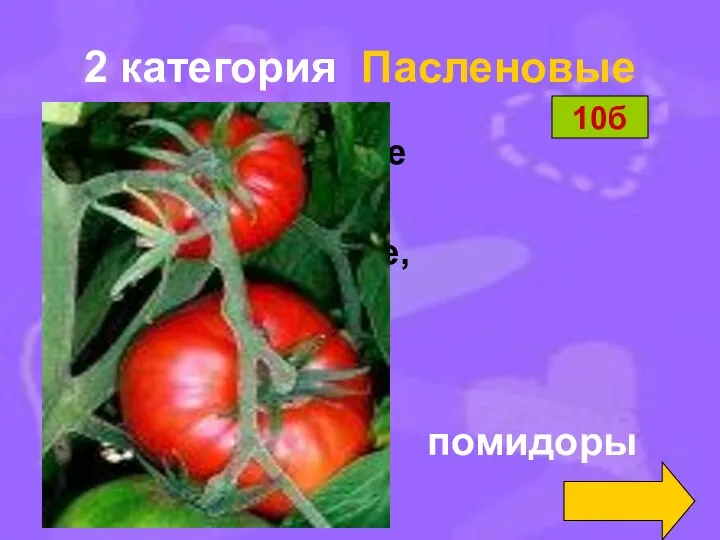 2 категория Пасленовые Как на нашей грядке Выросли загадки Сочные