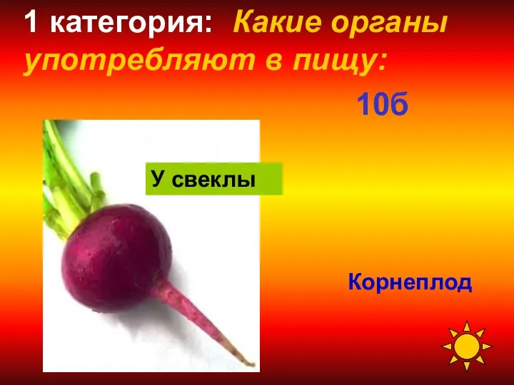 Корнеплод У свеклы 1 категория: Какие органы употребляют в пищу: 10б