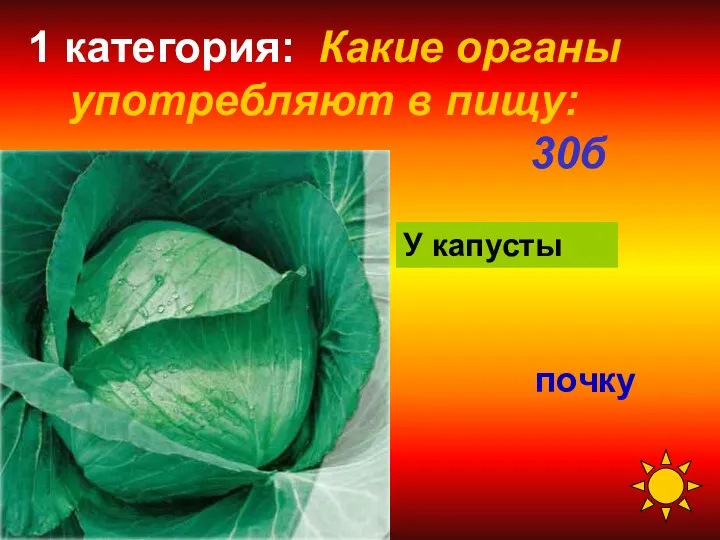 1 категория: Какие органы употребляют в пищу: 30б почку У капусты