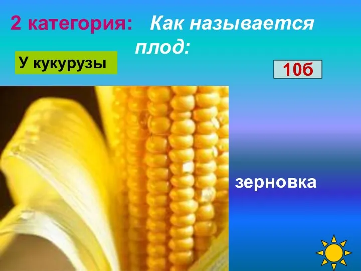 2 категория: Как называется плод: зерновка У кукурузы 10б
