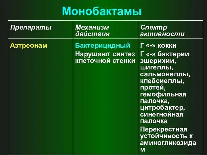 Монобактамы