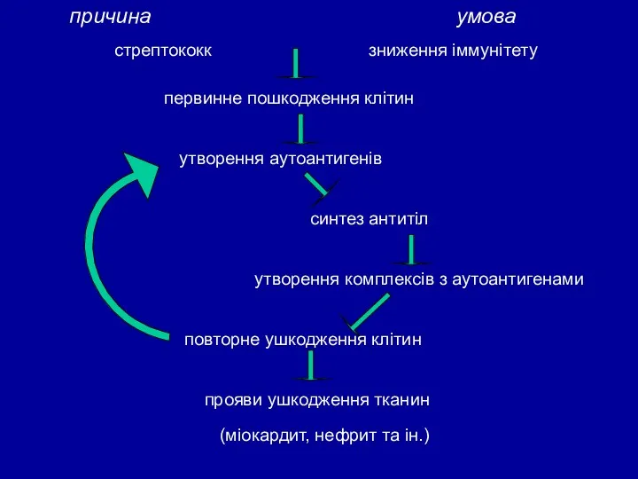 причина умова стрептококк зниження іммунітету первинне пошкодження клітин утворення аутоантигенів