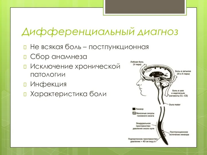 Дифференциальный диагноз Не всякая боль – постпункционная Сбор анамнеза Исключение хронической патологии Инфекция Характеристика боли