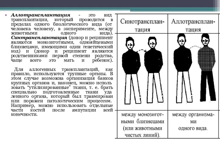 Аллотрансплантация - это вид трансплантации, который проводится в пределах одного