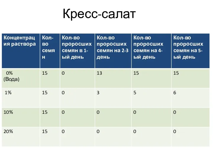 Кресс-салат