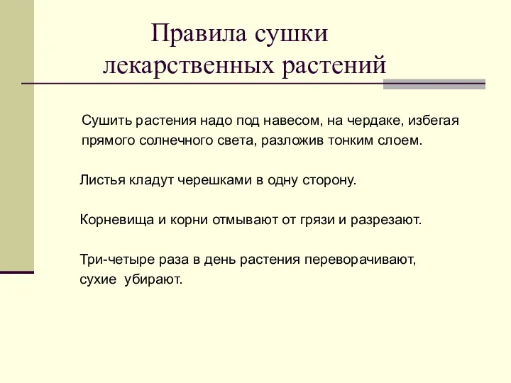 Правила сушки лекарственных растений Сушить растения надо под навесом, на