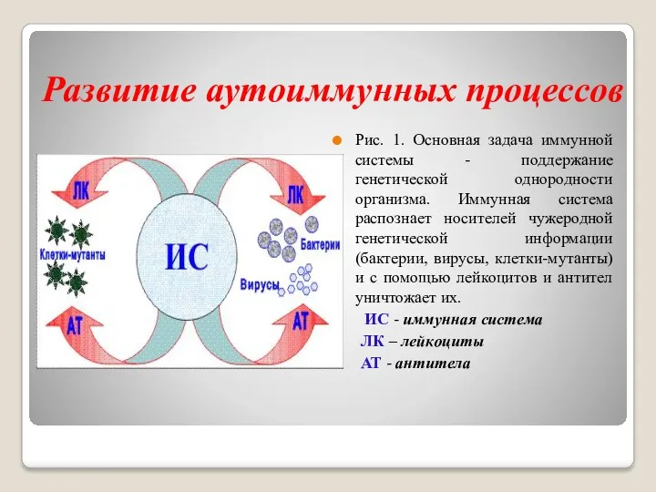 Развитие аутоиммунных процессов Рис. 1. Основная задача иммунной системы -