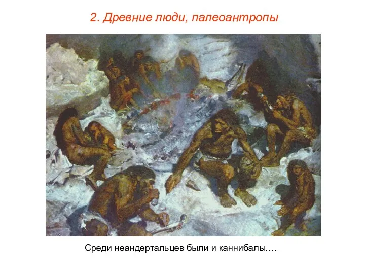 2. Древние люди, палеоантропы Среди неандертальцев были и каннибалы….