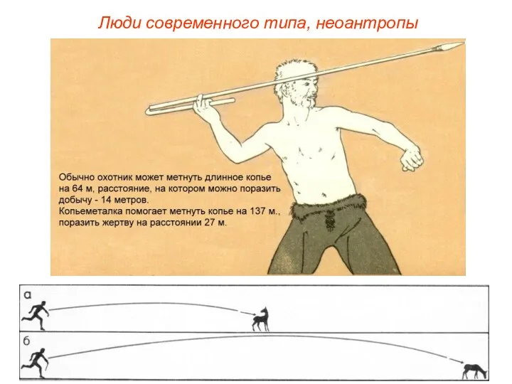 Люди современного типа, неоантропы