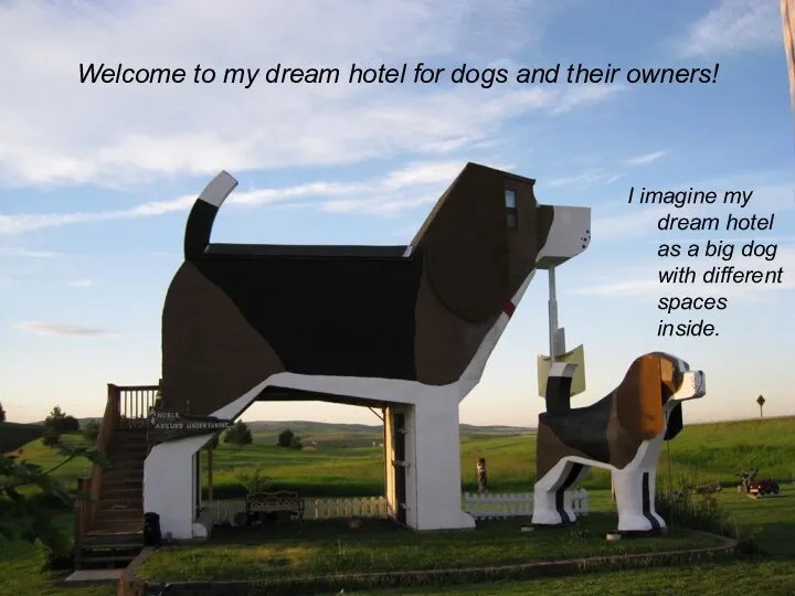 Welcome to my dream hotel for dogs and their owners!