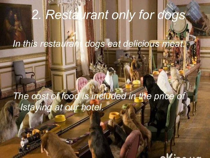 2. Restaurant only for dogs In this restaurant dogs eat